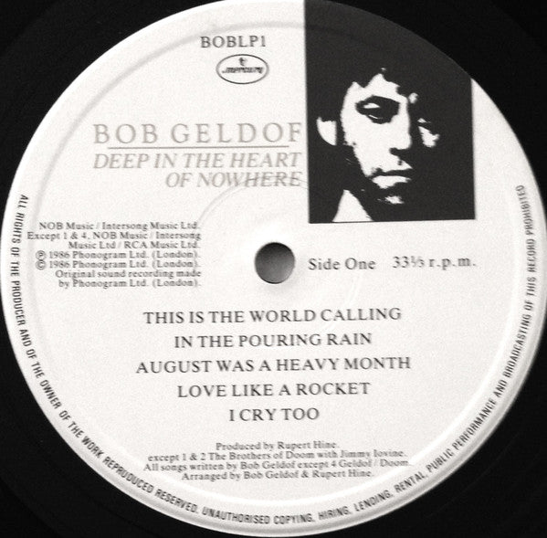 Bob Geldof : Deep In The Heart Of Nowhere (LP, Album)