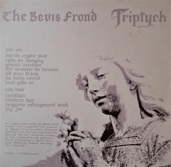 The Bevis Frond : Triptych (LP, Album)