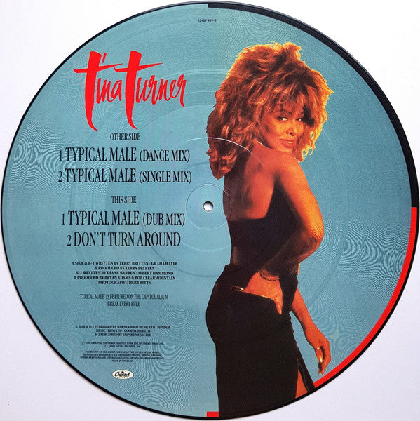 Tina Turner : Typical Male (12", Single, Pic)