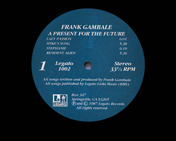 Frank Gambale : A Present For The Future (LP, Album)