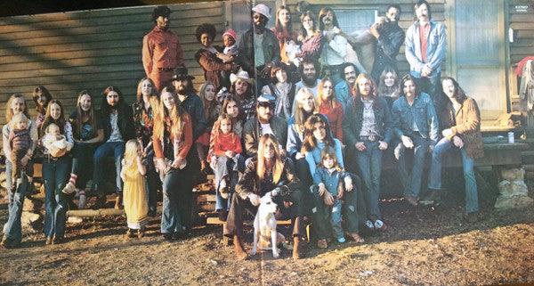 The Allman Brothers Band : Brothers And Sisters (LP, Album, Gat)