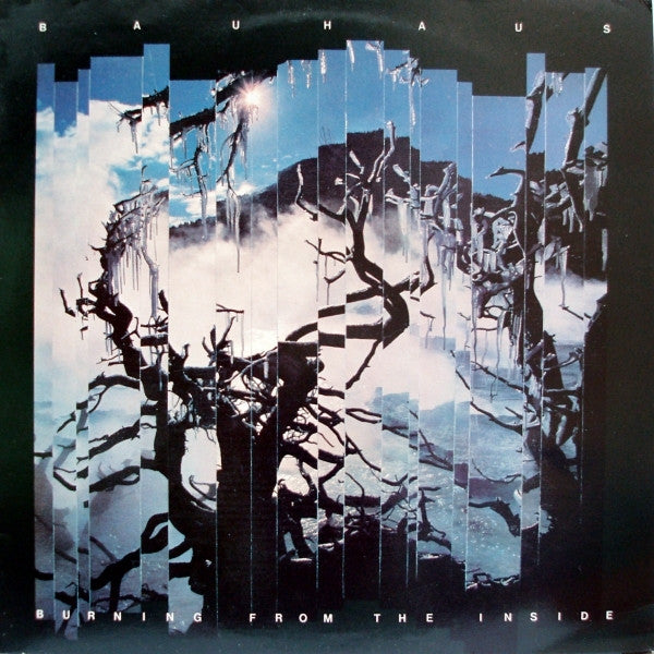 Bauhaus : Burning From The Inside (LP, Album)