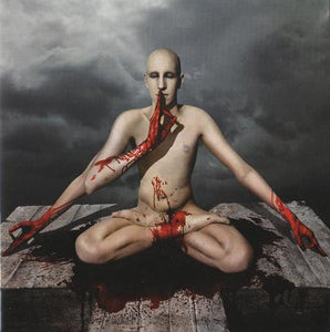 Meshuggah : obZen (CD, Album)