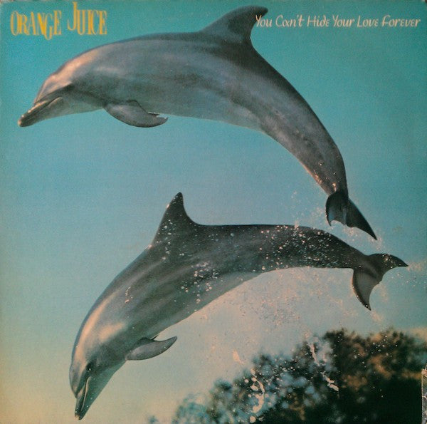 Orange Juice (3) : You Can't Hide Your Love Forever (LP, Album)