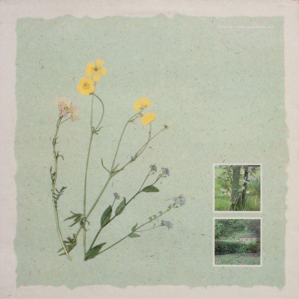 Virginia Astley : From Gardens Where We Feel Secure (LP, Album)