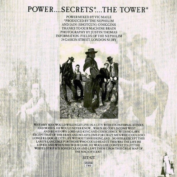 Fields Of The Nephilim : Power (12")