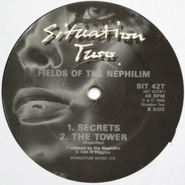 Fields Of The Nephilim : Power (12")