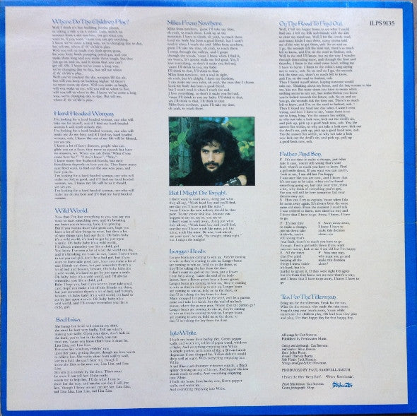 Cat Stevens : Tea For The Tillerman (LP, Album, Pin)