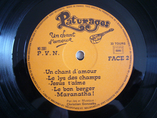 Pâturages : Un Chant D'Amour (LP, Album)