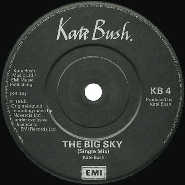 Kate Bush : The Big Sky (Special Single Mix) (7", Single)