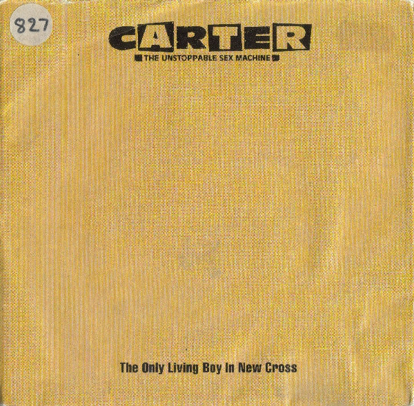 Carter The Unstoppable Sex Machine : The Only Living Boy In New Cross (7", Single)