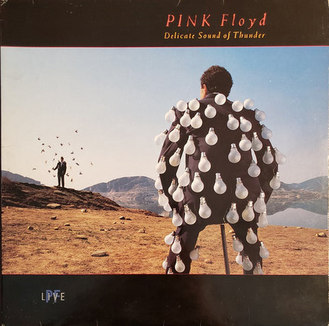 Pink Floyd : Delicate Sound Of Thunder (2xLP, Album, Son)