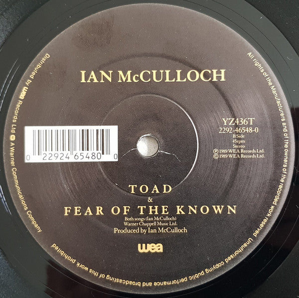 Ian McCulloch : Faith & Healing (The Carpenter's Son Mix) (12", Single)