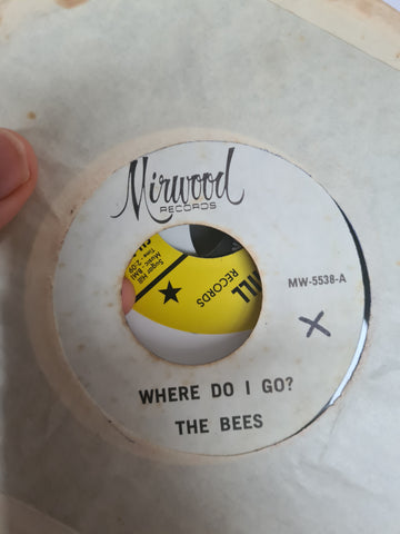 Where do I go? The Bees