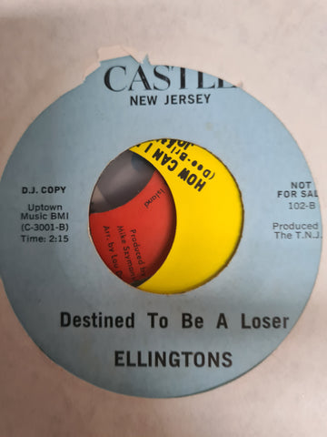 Ellingtons- Destined to be a loser