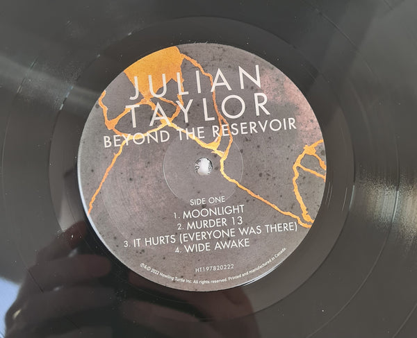 Julian Taylor - Beyond The Reservoir