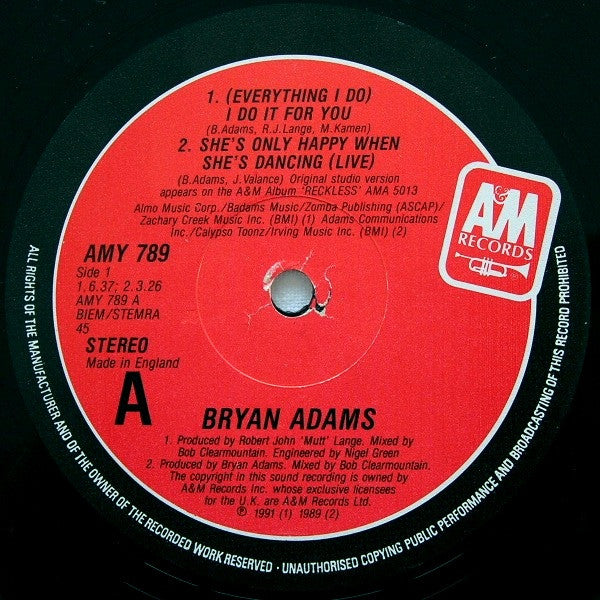 Bryan Adams : (Everything I Do) I Do It For You (12", Single)