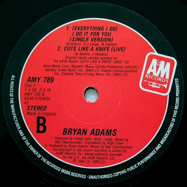 Bryan Adams : (Everything I Do) I Do It For You (12", Single)