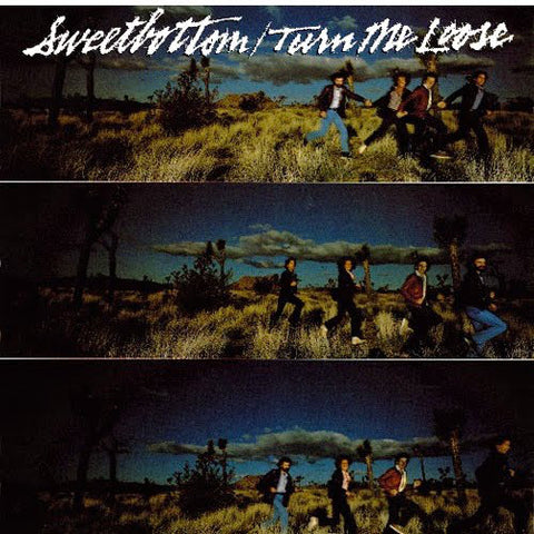 Sweetbottom : Turn Me Loose (LP, Album)