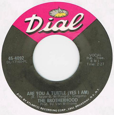 The Brotherhood (8) : Are You A Turtle (Yes I Am) / Mari (7", Single)