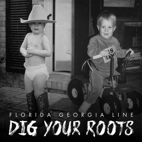 Florida Georgia Line : Dig Your Roots (2xLP, Album)