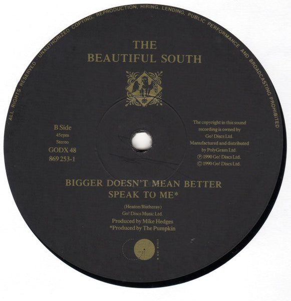 The Beautiful South : My Book (12")